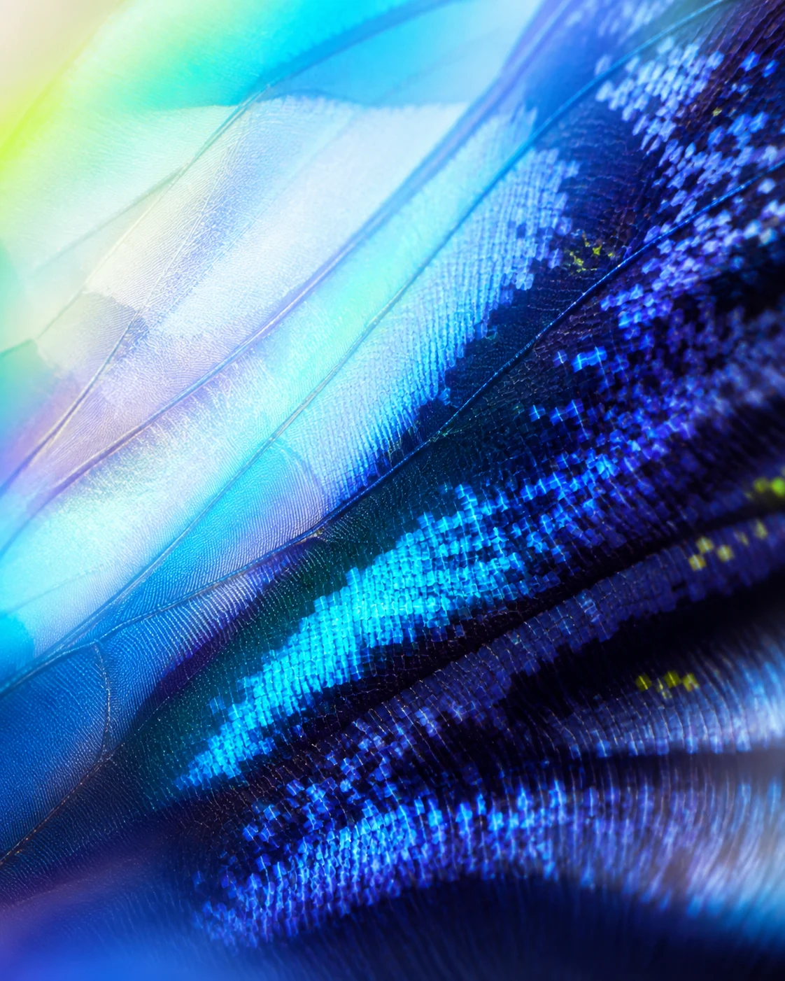 Dettaglio macro iridescente in blu, azzurro e indaco, immaginario evocativo ALKEMYA